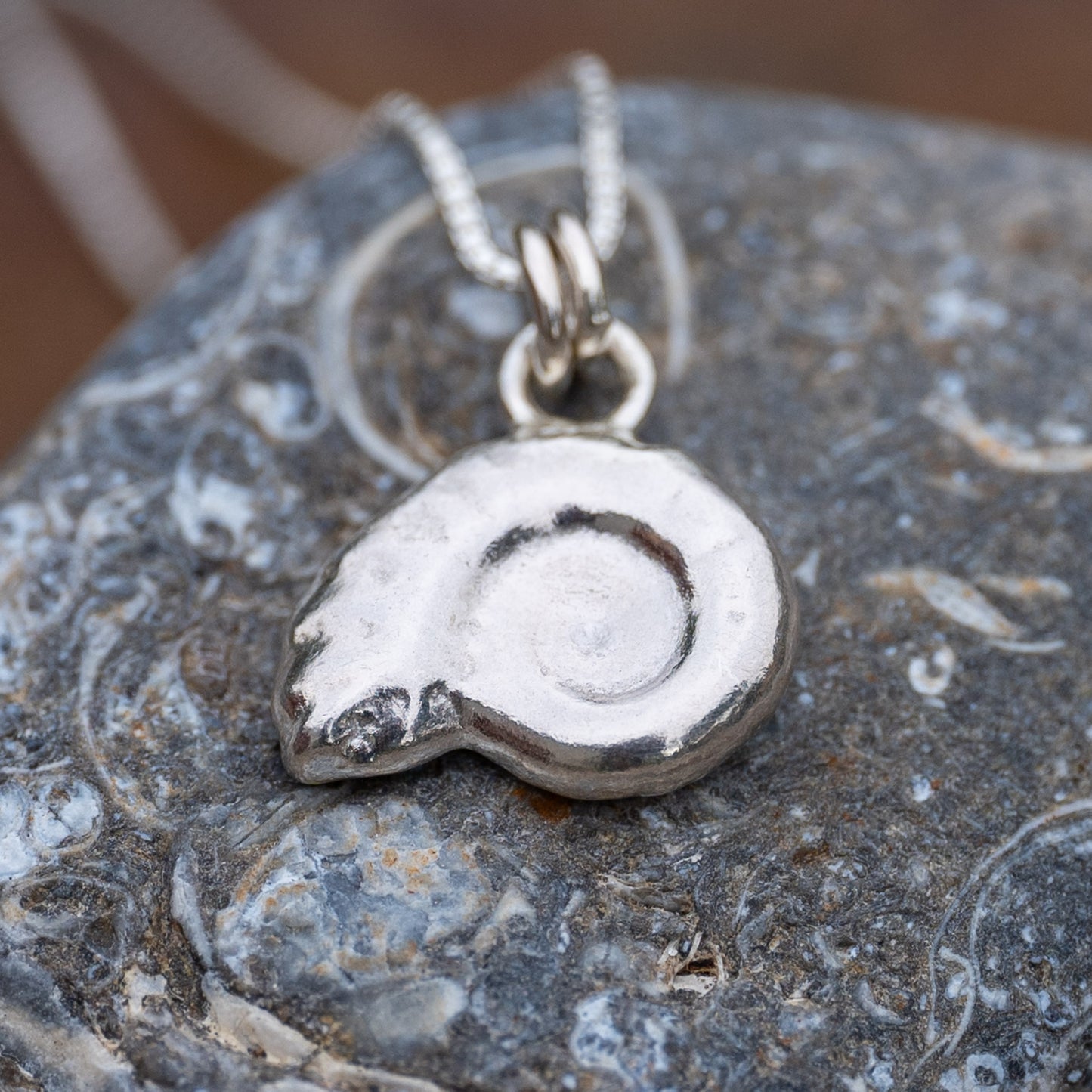 Ammonite Cuttlefish Cast Pendant