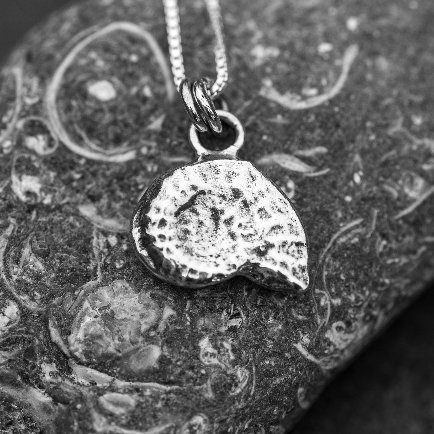 Ammonite Cuttlefish Cast Pendant
