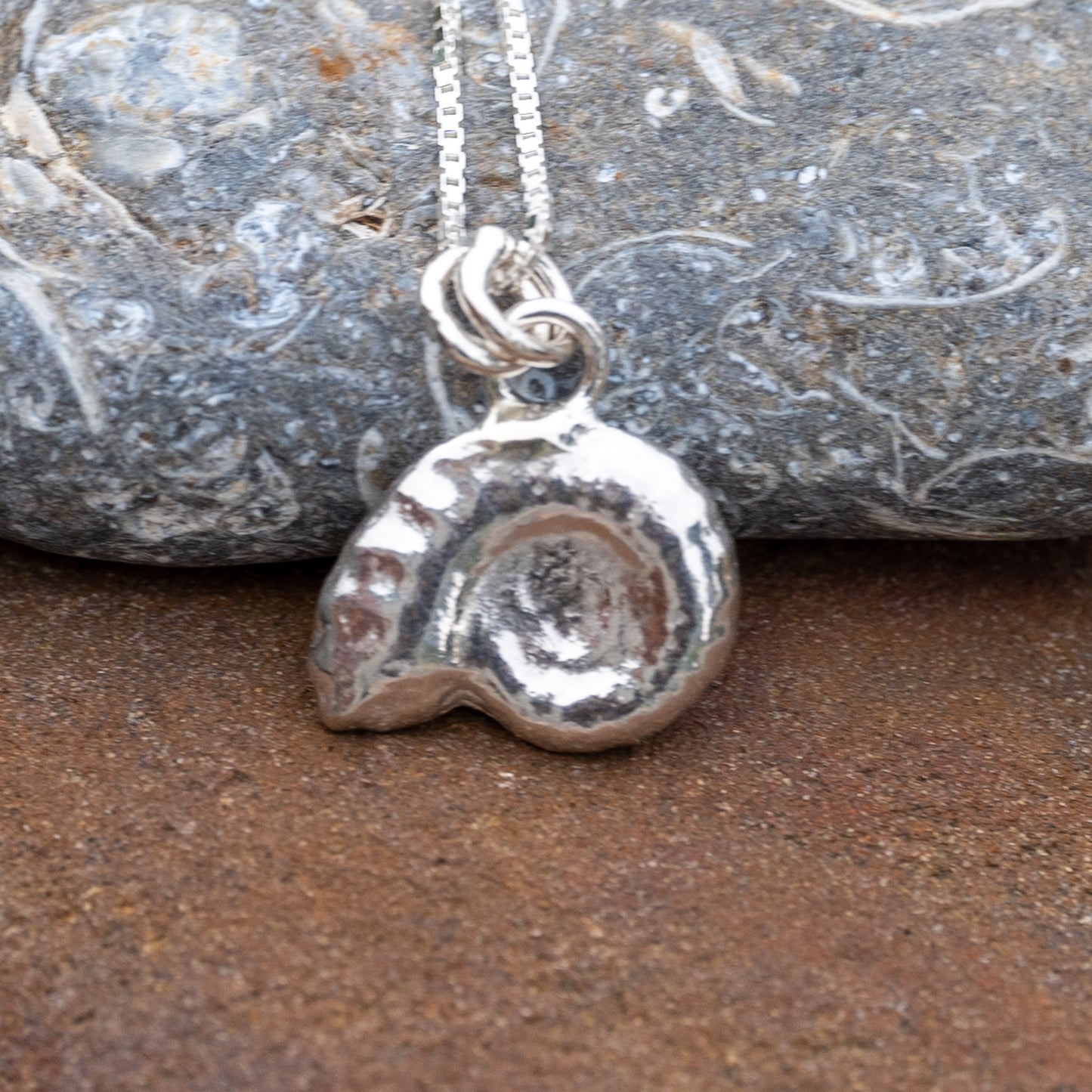 Ammonite Cuttlefish Cast Pendant