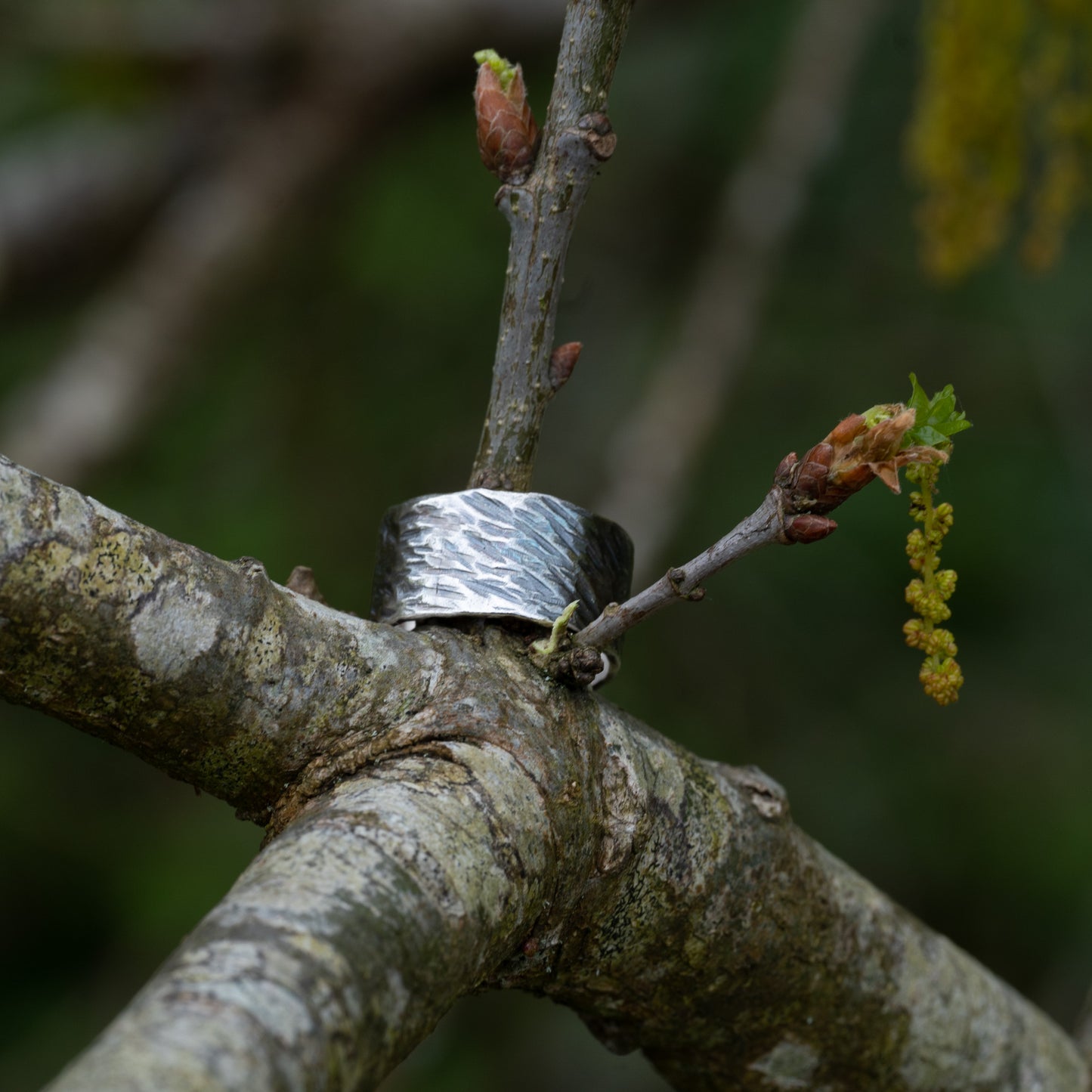 Birds Nest Fungi Ring - Size O