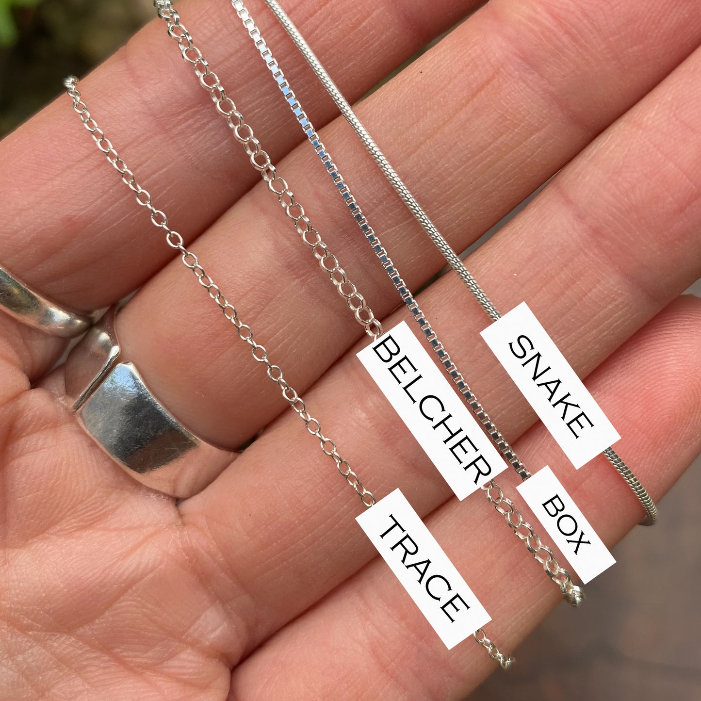 Birds Nest Fungi Pendant