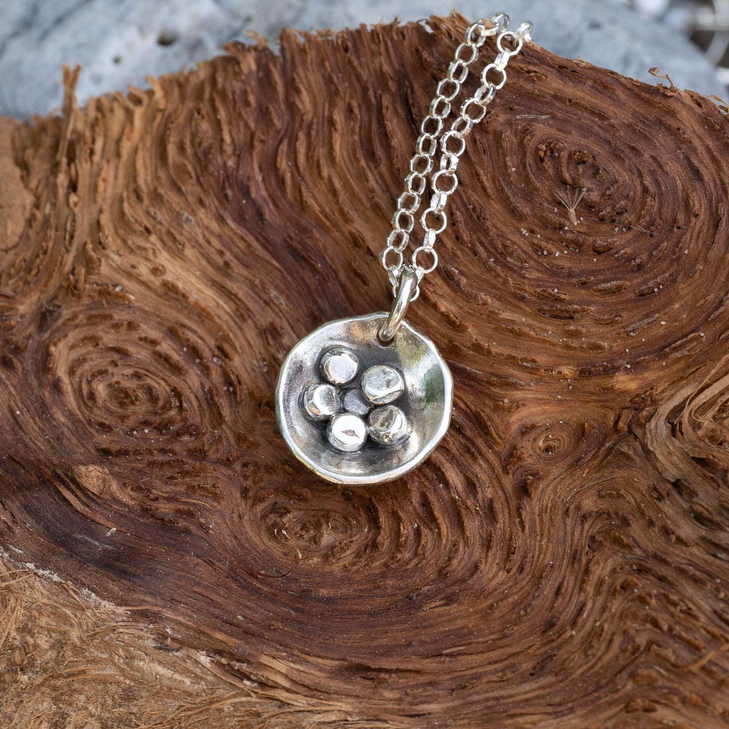 Birds Nest Fungi Round Pendant