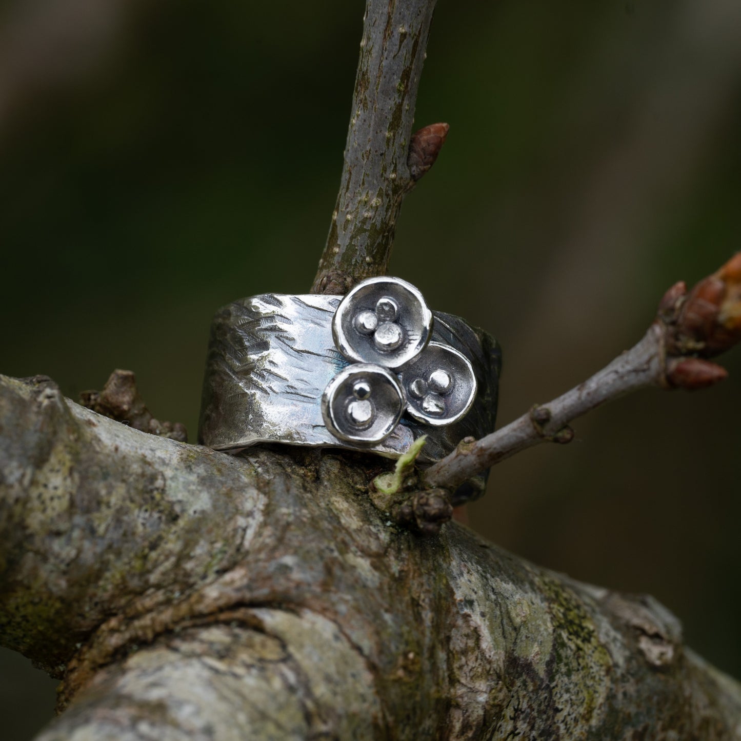 Birds Nest Fungi Ring - Size O