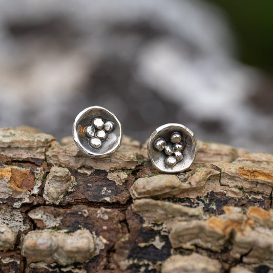 Birds Nest Fungi Stud Earrings