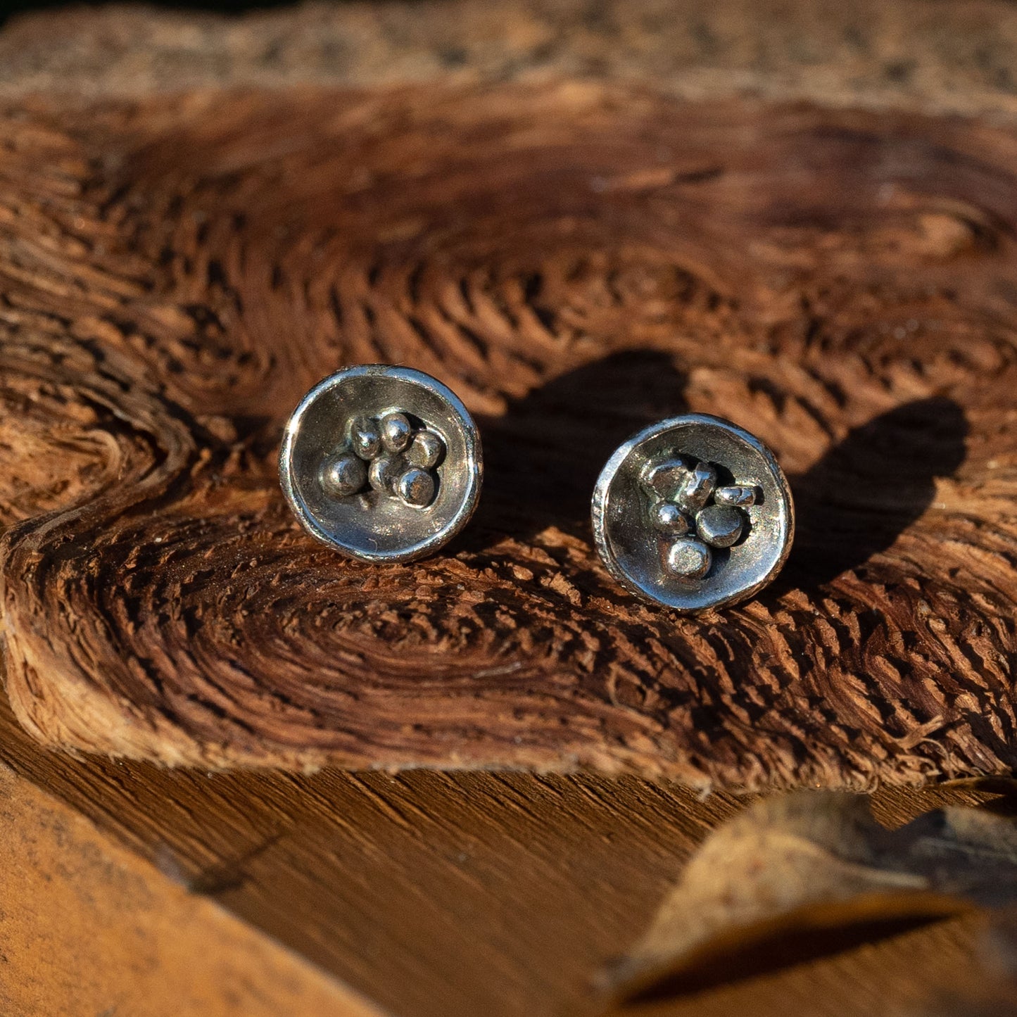 Birds Nest Fungi Stud Earrings
